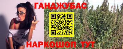мяу мяу кристалл Малоярославец