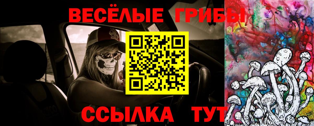 Псилоцибиновые грибы Psilocybine cubensis Югорск